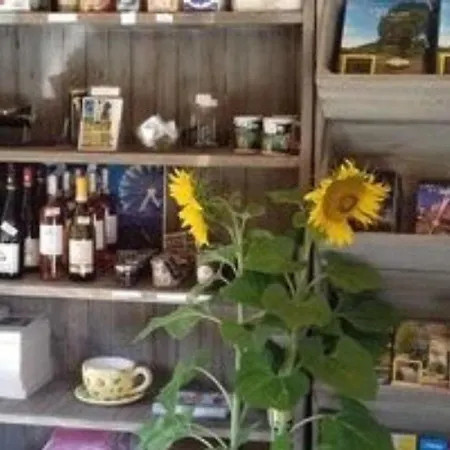 Kemping Mobil Moderne Avec Terrasse - 6 Pers. - Api-1-52-431 *