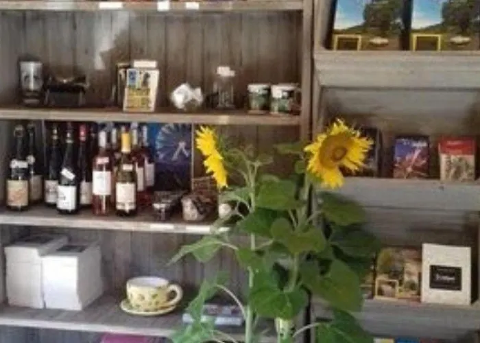 Kemping Mobil Moderne Avec Terrasse - 6 Pers. - Api-1-52-431 *